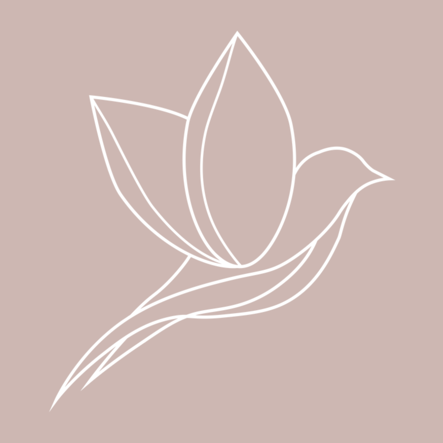 Logo Fond Rose